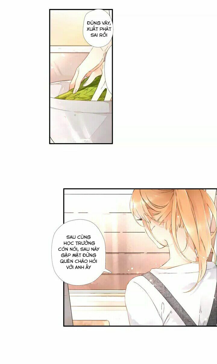 Tình yêu là màu hoa anh thảo chapter 19.5 20