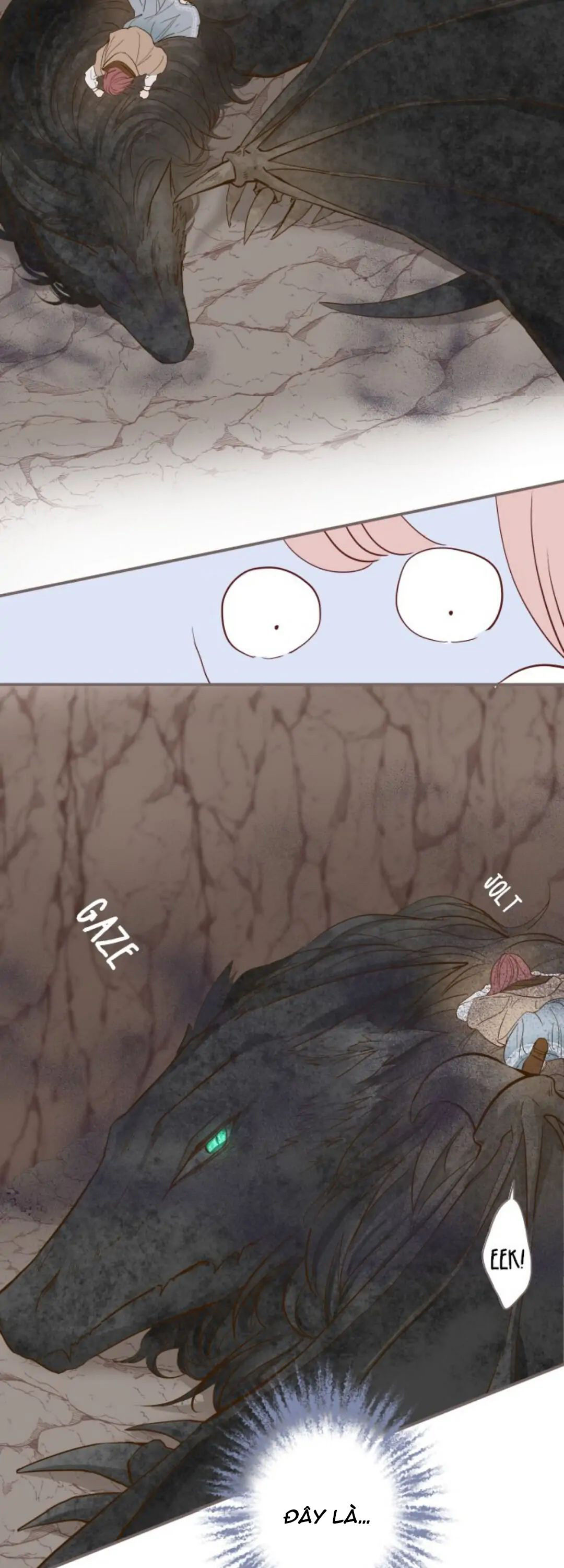 tôi được bảo vệ bởi kỵ sĩ rồng chapter 2.2 4