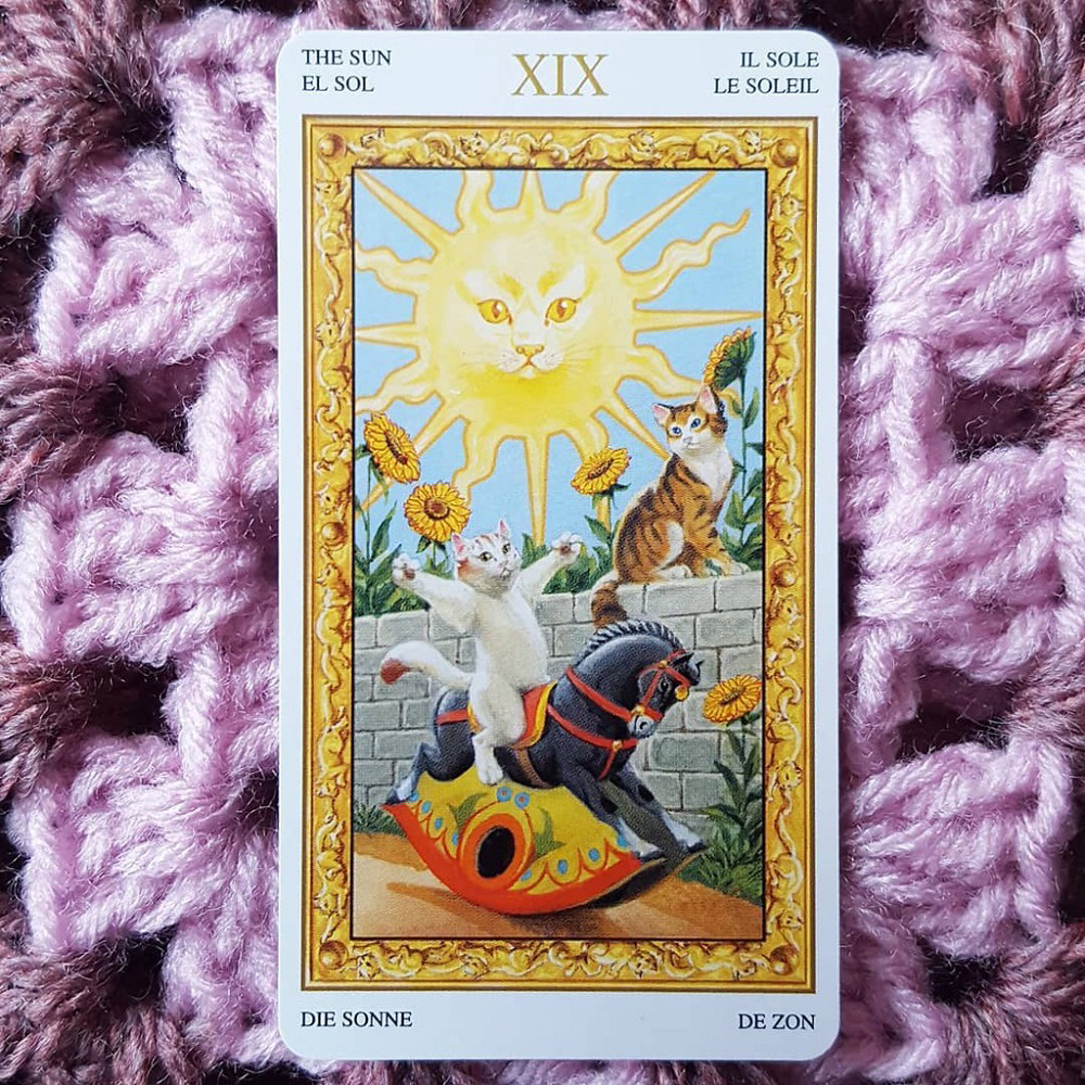 Bài Tarot Of White Cats 78 Lá Bài Tặng File Tiếng Anh Và Đá Thanh Tẩy