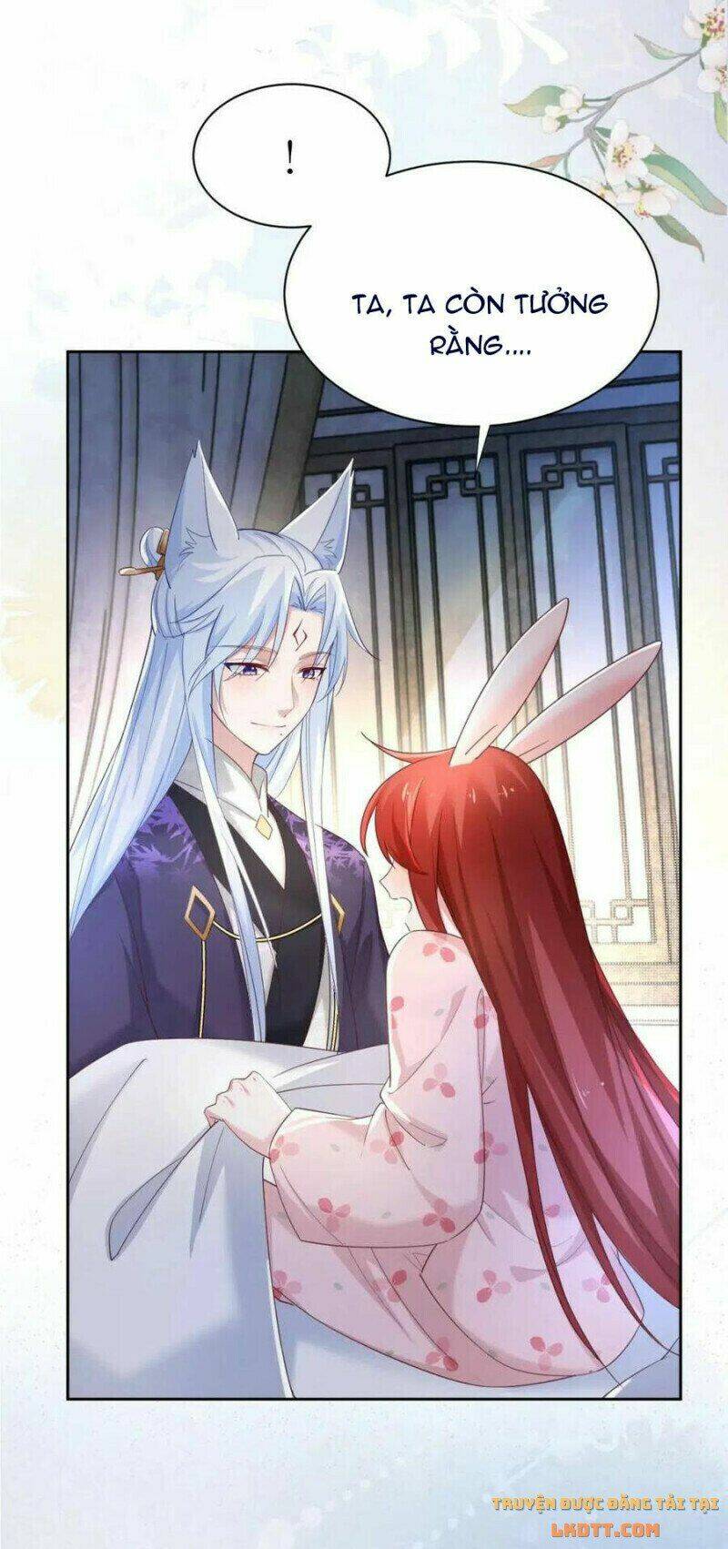 hắc hóa nam chính trực tuyến nuôi thỏ chapter 59 7