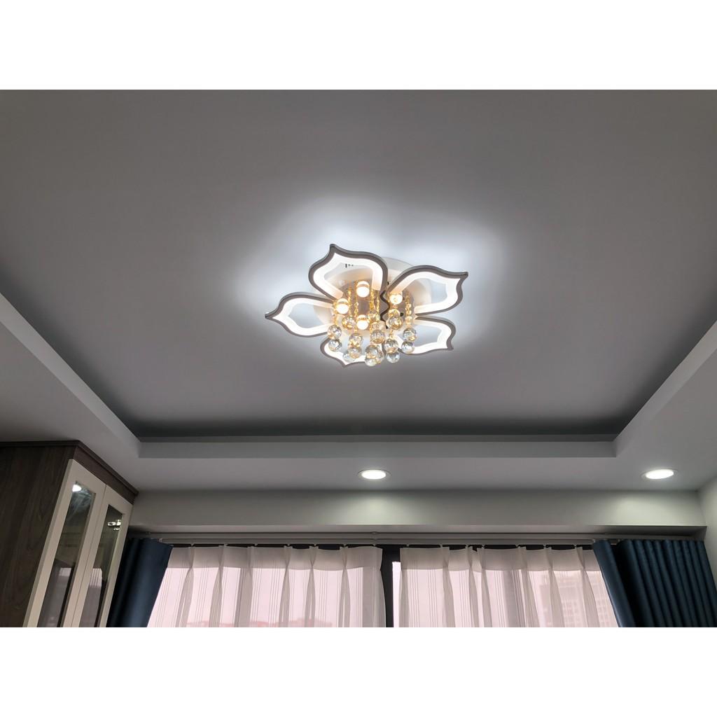 Đèn ốp trần trang trí phòng khách phòng ngủ 5 cánh có 3 chế độ sáng tặng kèm điều khiển tăng chỉnh - Mã 2042/5