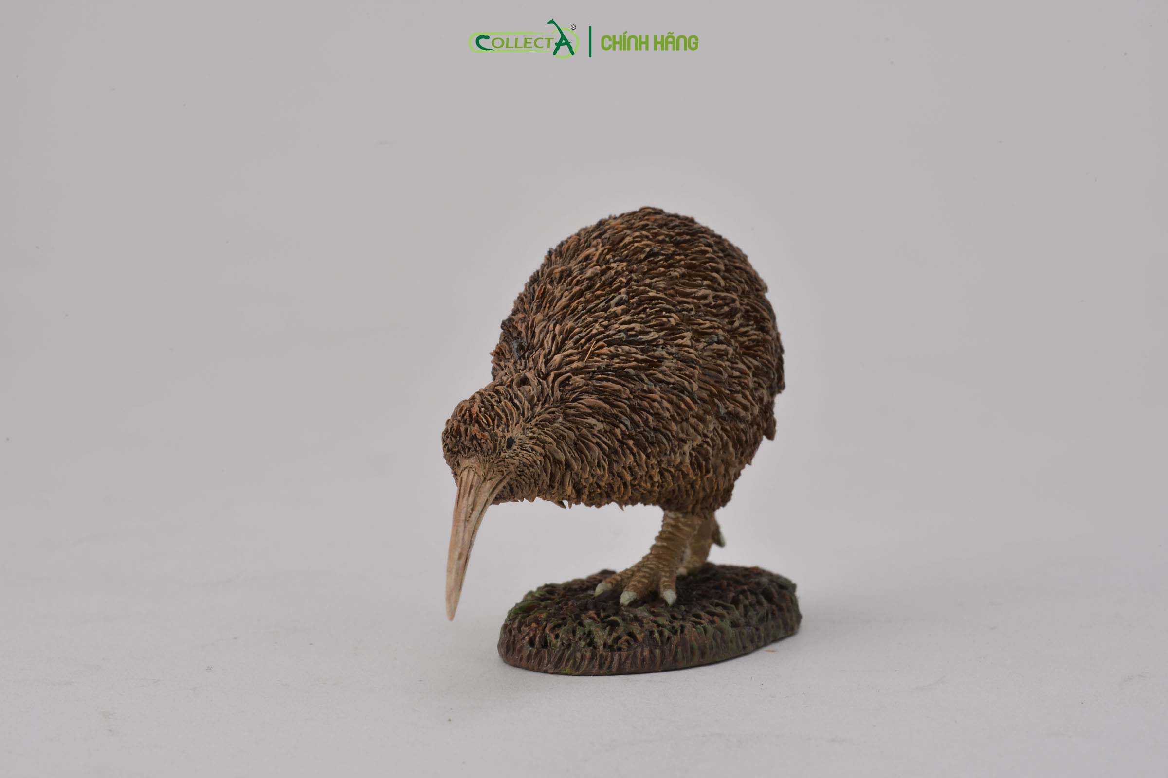 Mô hình thu nhỏ: Kiwi - Kiwi, hiệu: CollectA, mã HS 9651320[88731] -  Chất liệu an toàn cho trẻ - Hàng chính hãng