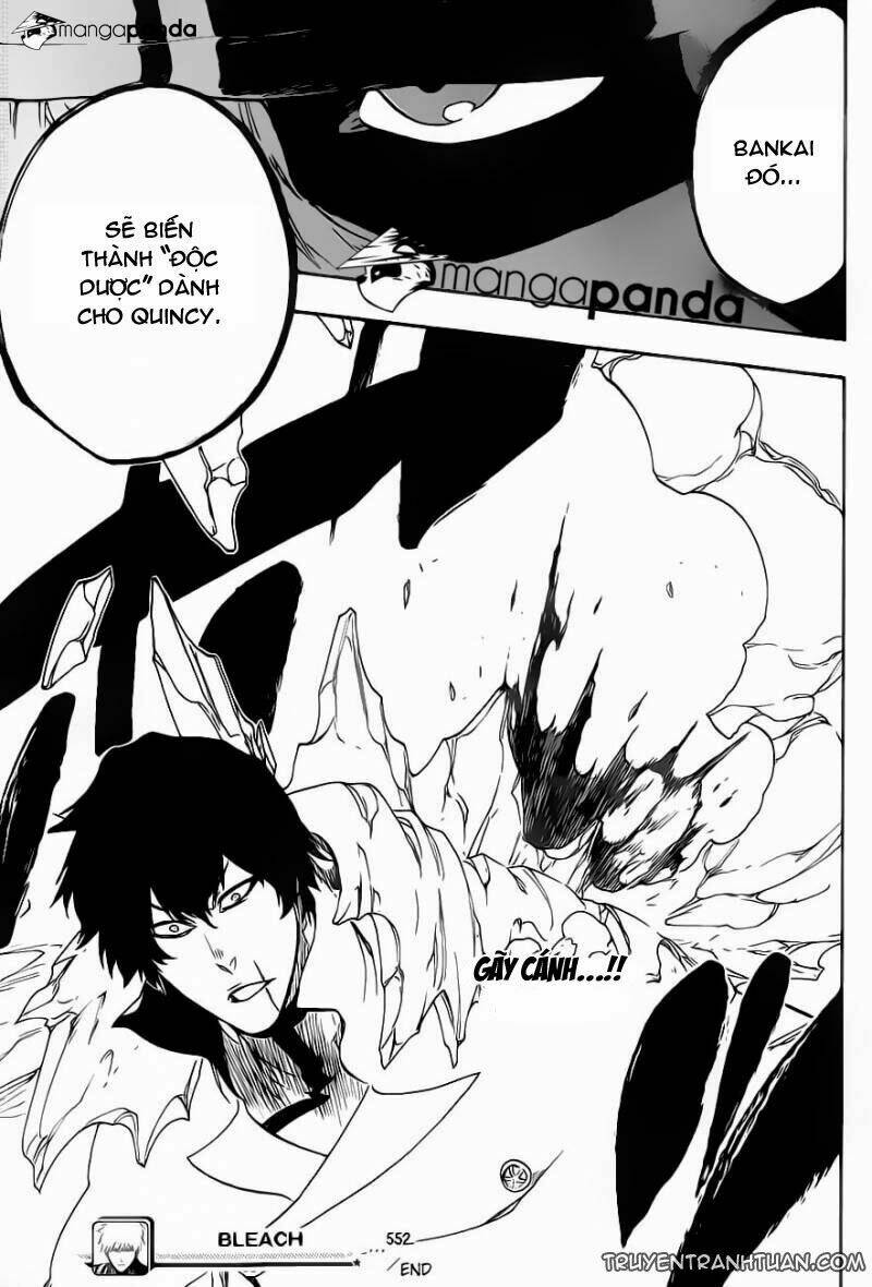 thần chết ichigo chapter 552 19
