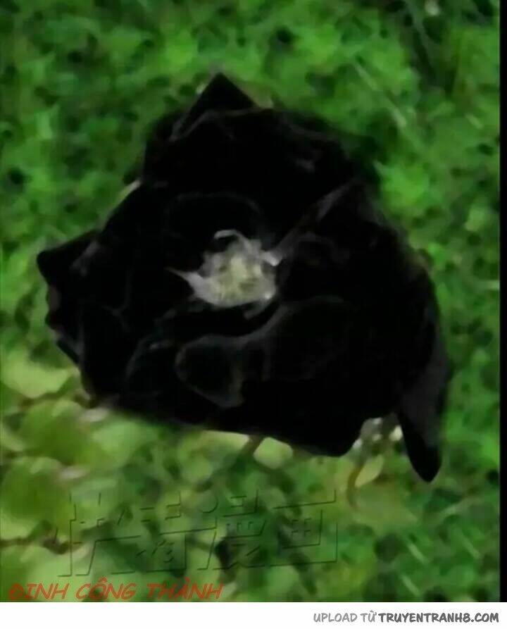 hoa mẫu đơn đen chapter 1 5