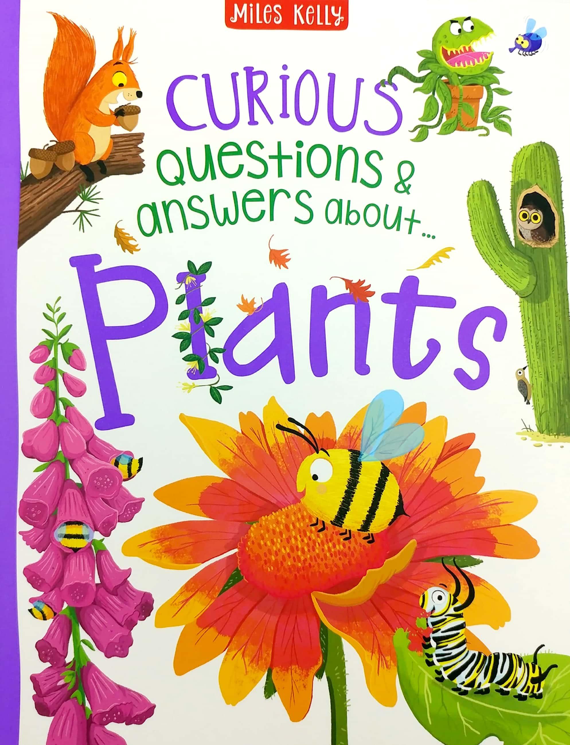 A Curious Library Of Questions And Answers