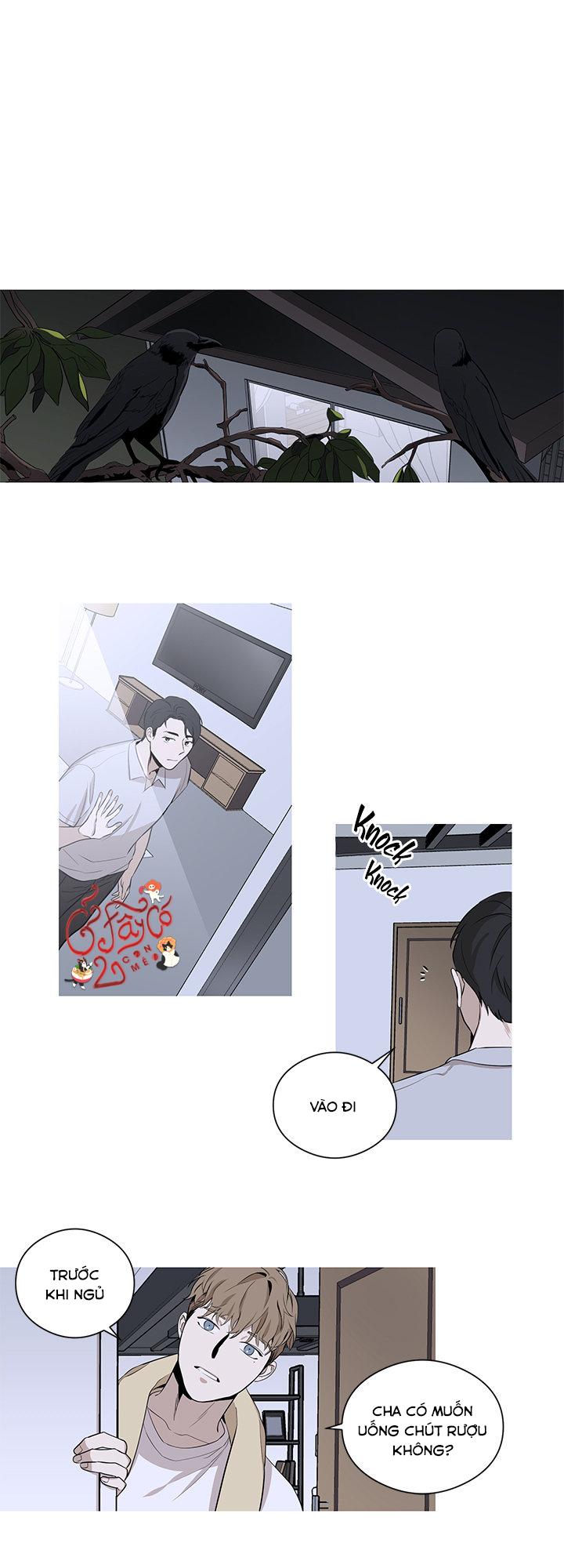 loài chim không bay chapter 5 5
