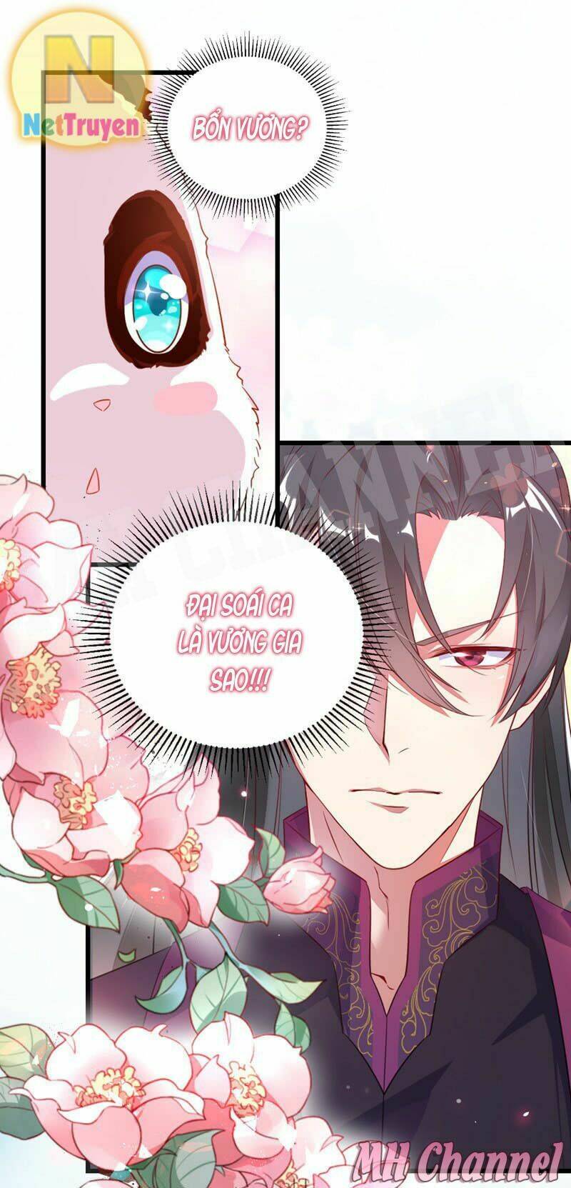 thiên thần gấu trúc muốn được ôm chapter 5 17