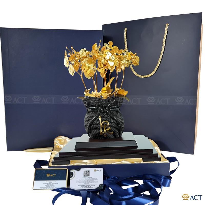 CHẬU LAN HỒ ĐIỆP 12 CÀNH