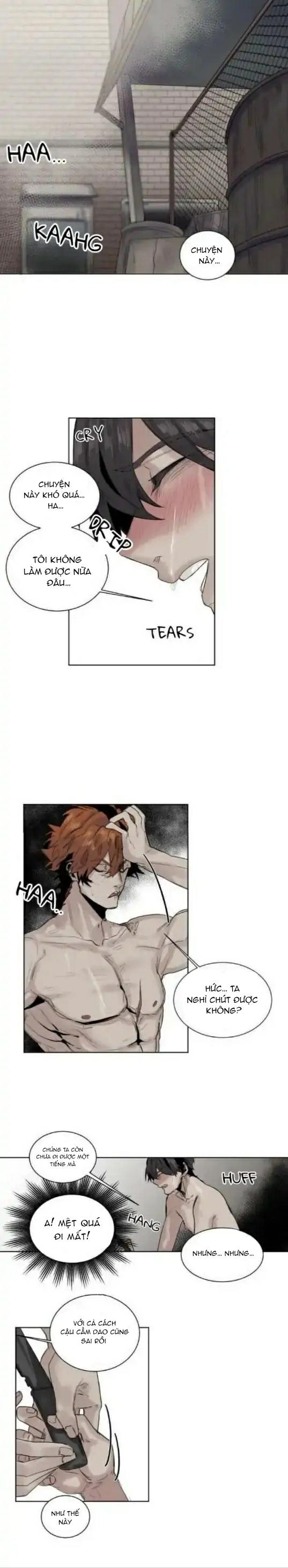 ánh nhìn của quạ chapter 13 1