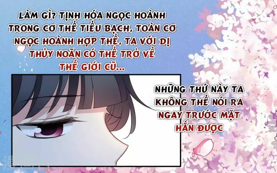 toàn cơ từ chapter 52.1 19