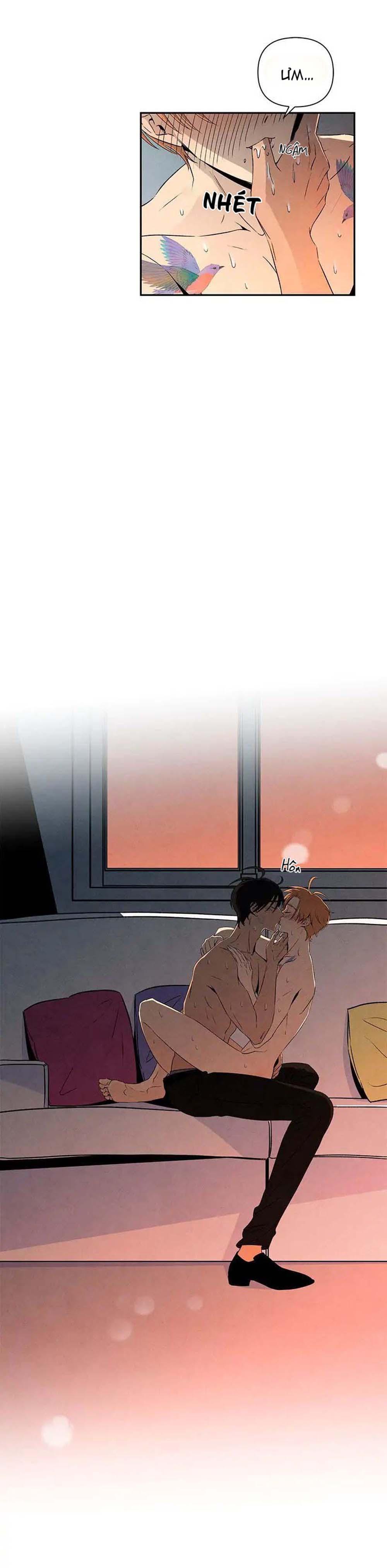 bona sort chapter 11 12