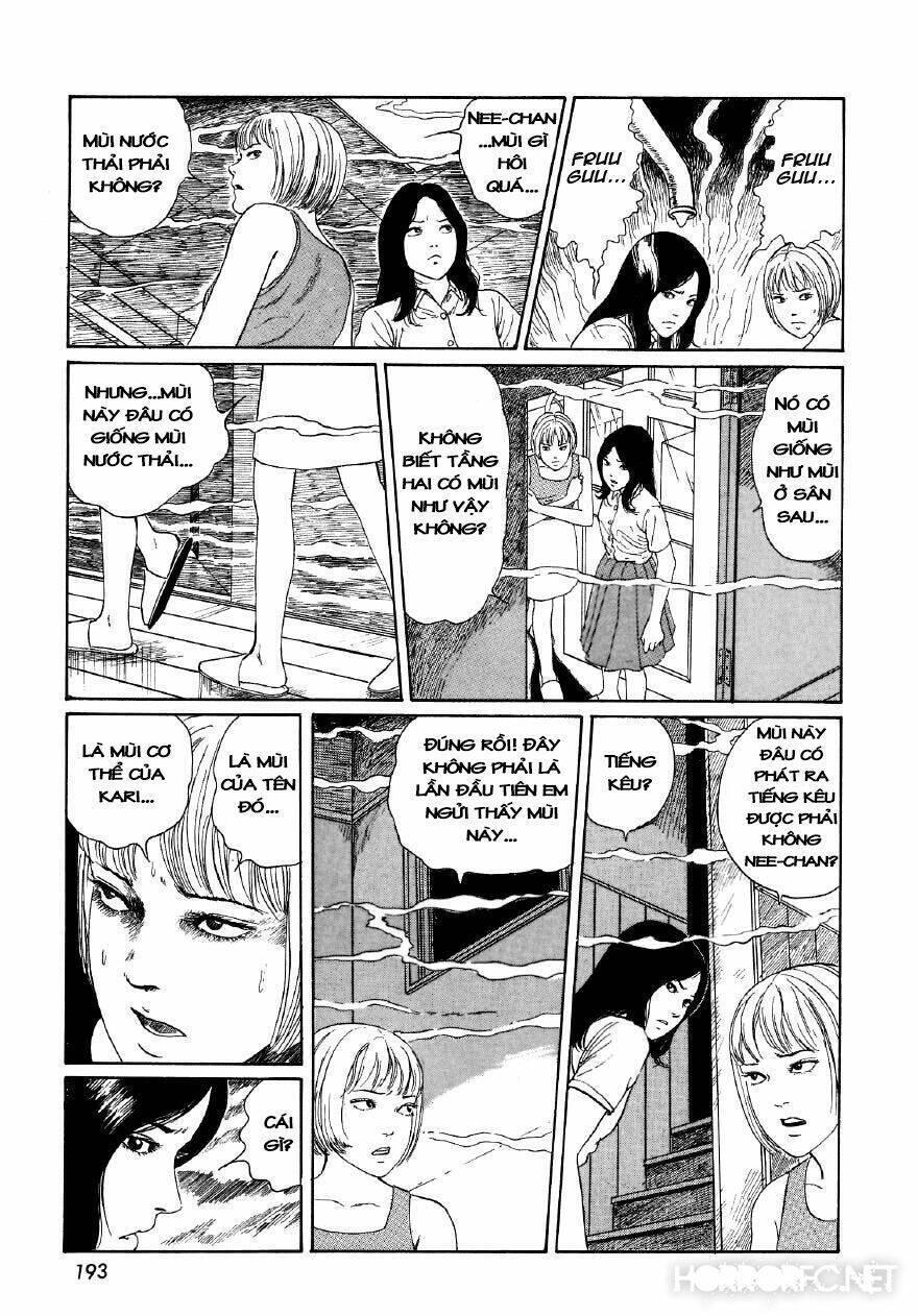 tuyển tập truyện ngắn kinh dị của ito junji chapter 7.6 48