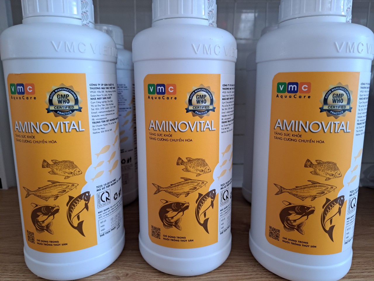 AMINOVITAL Bổ sung các vitamin và acid amin đậm đặc thiết yếu giúp cá phát triển khỏe mạnh, thèm ăn, tăng trọng nhanh.