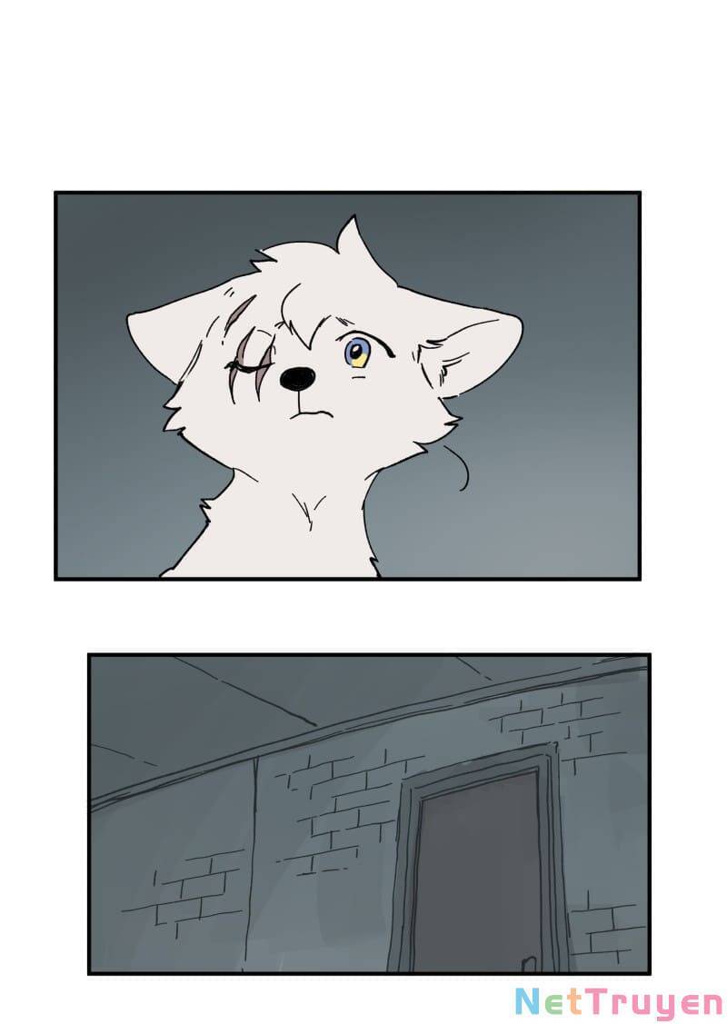 lumine - cội nguồn ánh sáng chapter 154 26