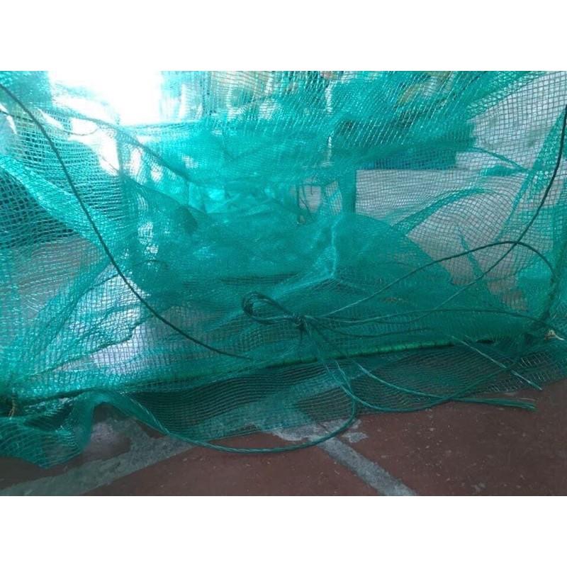 Đăng vét cá tôm