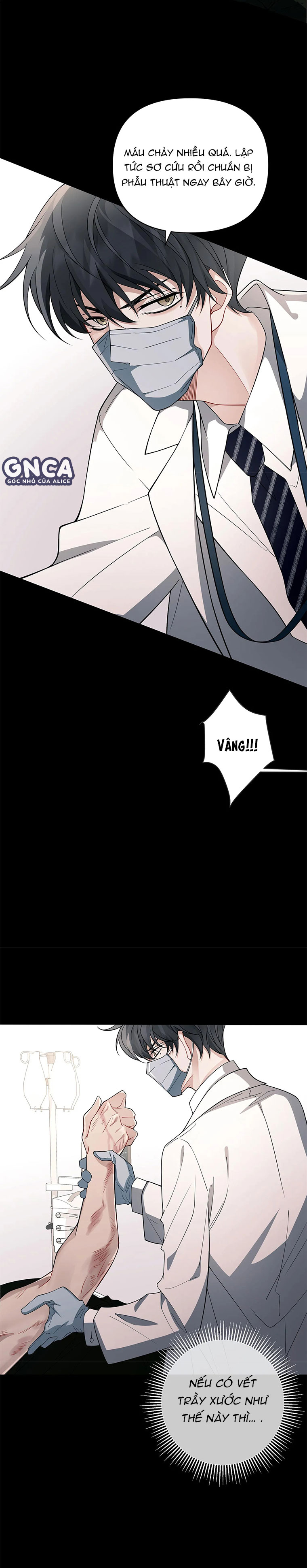 vết tích chapter 5 21