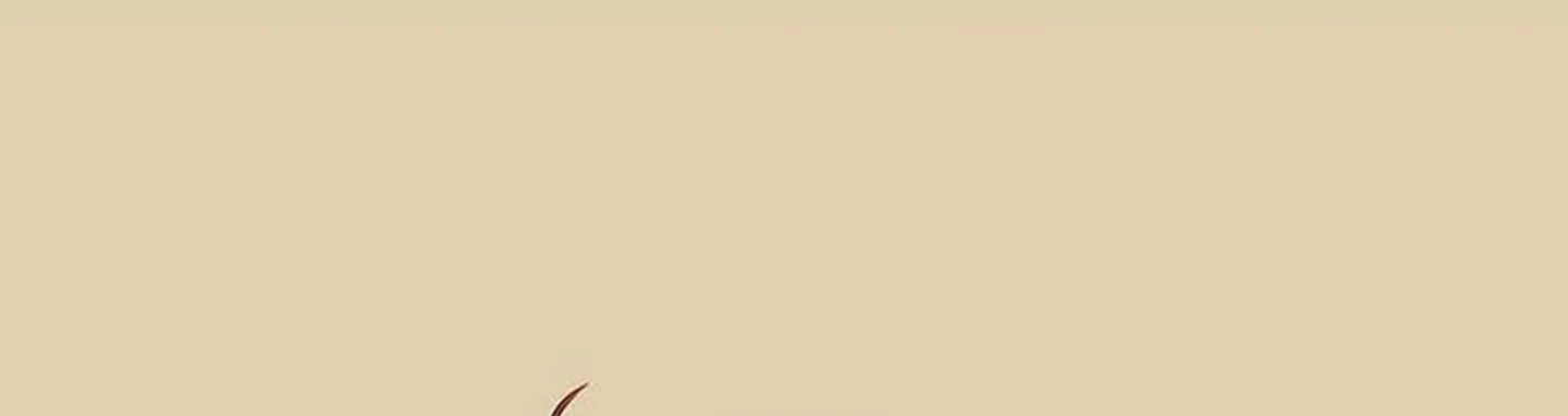 chuyện quái gì với giấc mơ đó vậy chapter 15 135