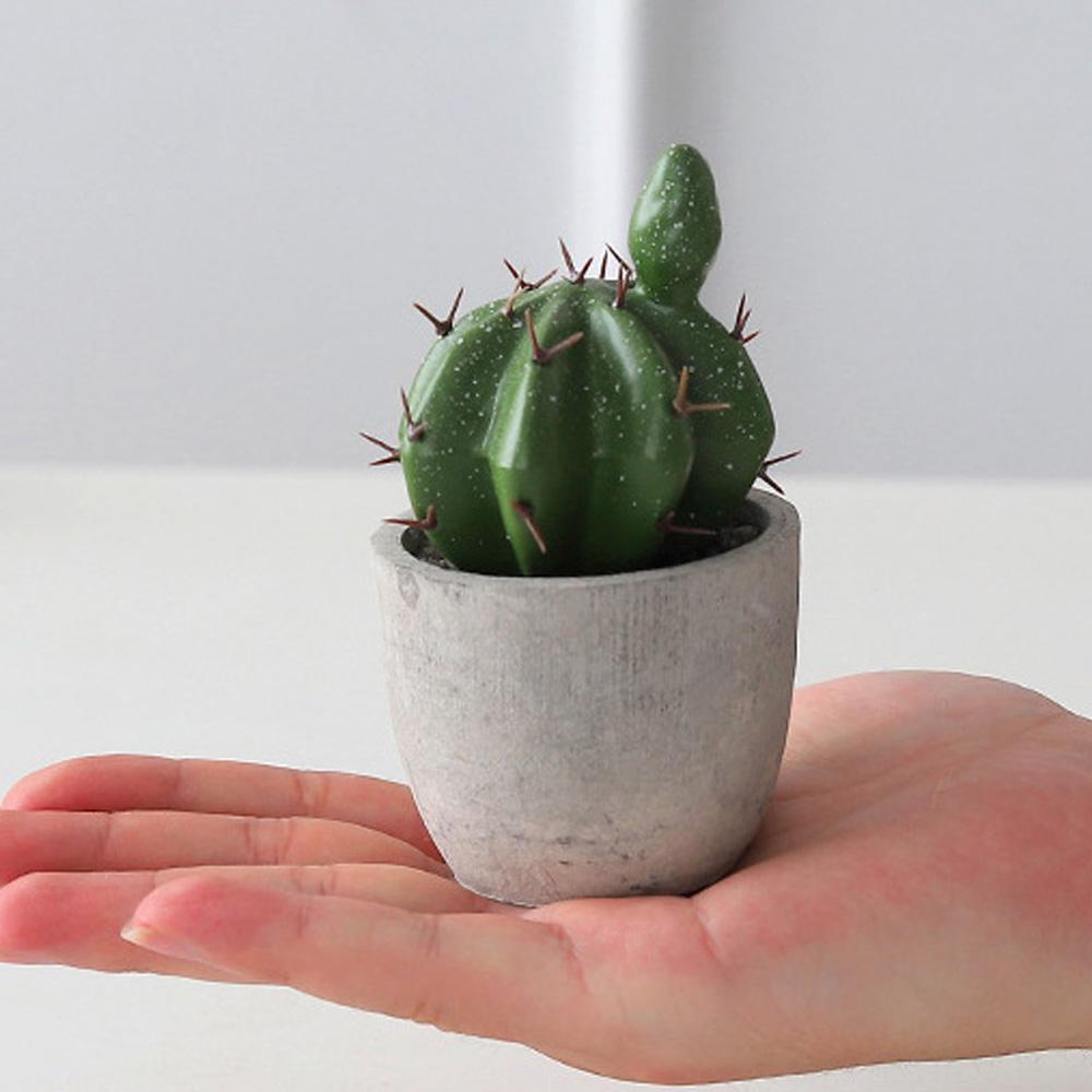 Cây Xương Rồng Giả Trang Trí Sân Vườn