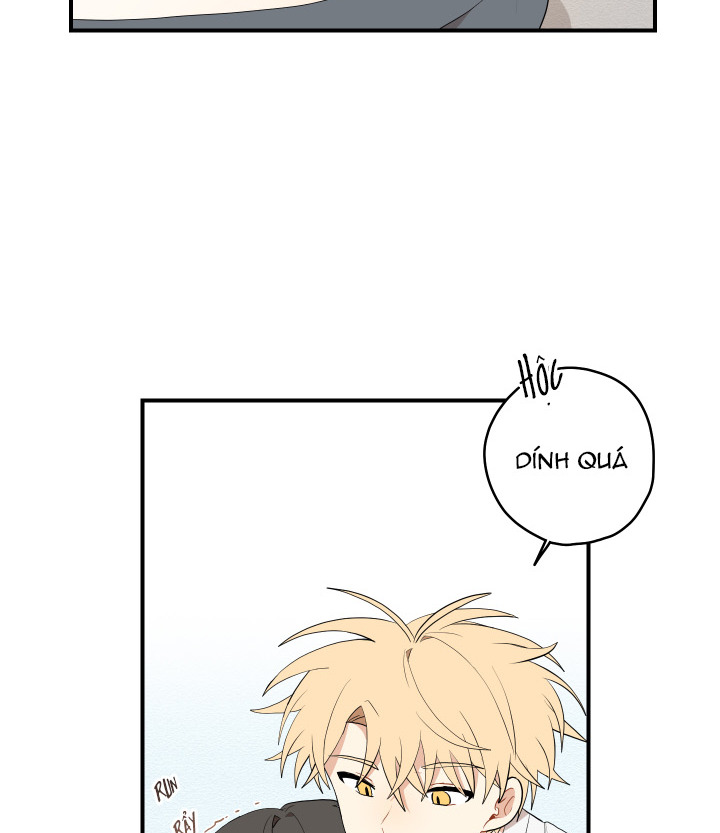 đường hoa liên kiều rơi chapter 19 27