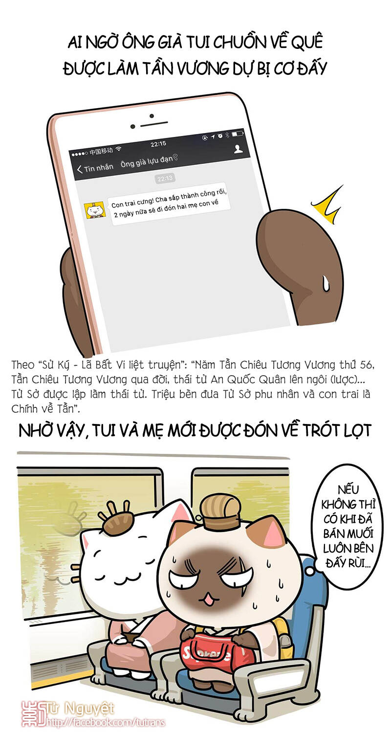 nếu lịch sử là một bầy mèo chapter 25 12