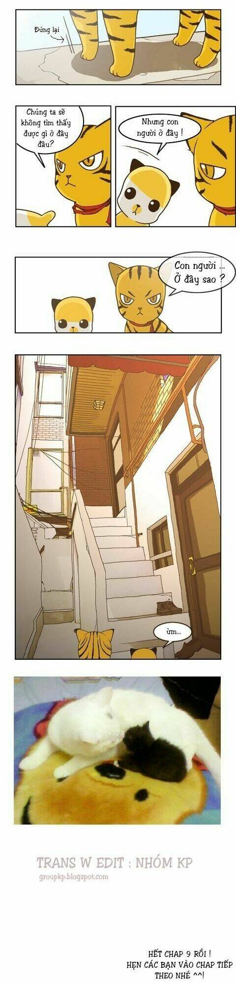 papi nyang chapter 9 6