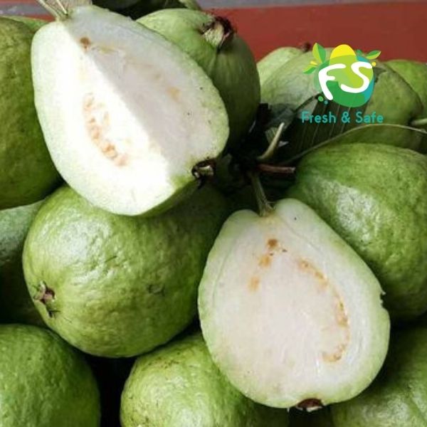 [CHỈ GIAO HN] Ổi lê - 1KG