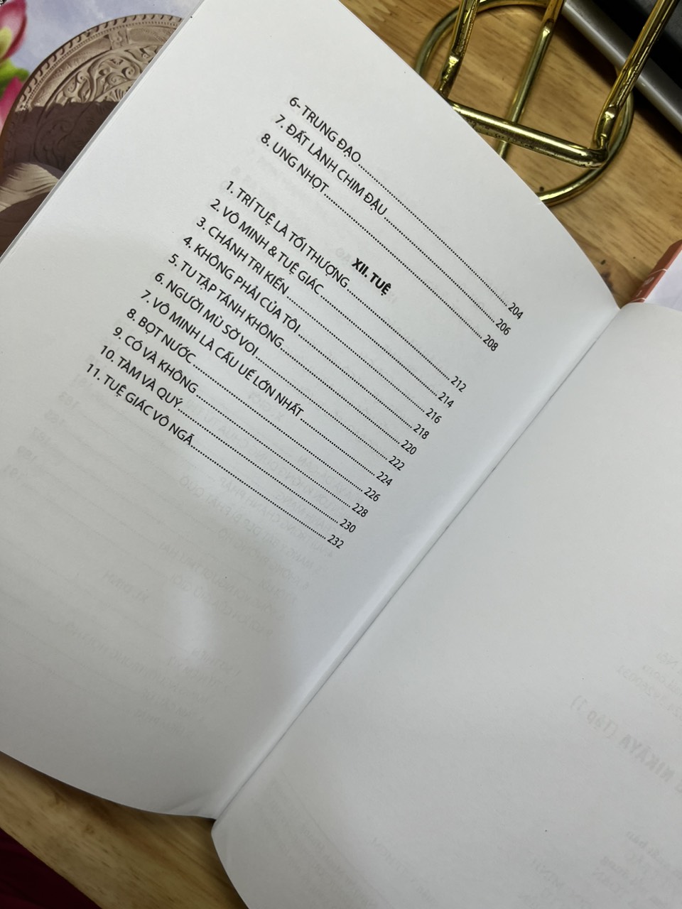 Lời Phật Dạy Trong Kinh Tạng Nikaya (QB)