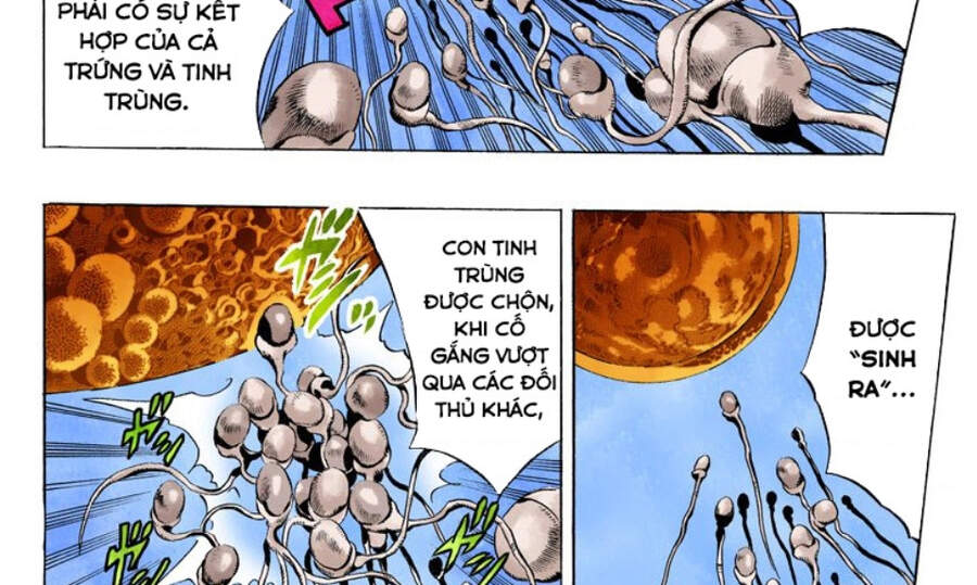 cuộc phiêu lưu bí ẩn chapter 705 40