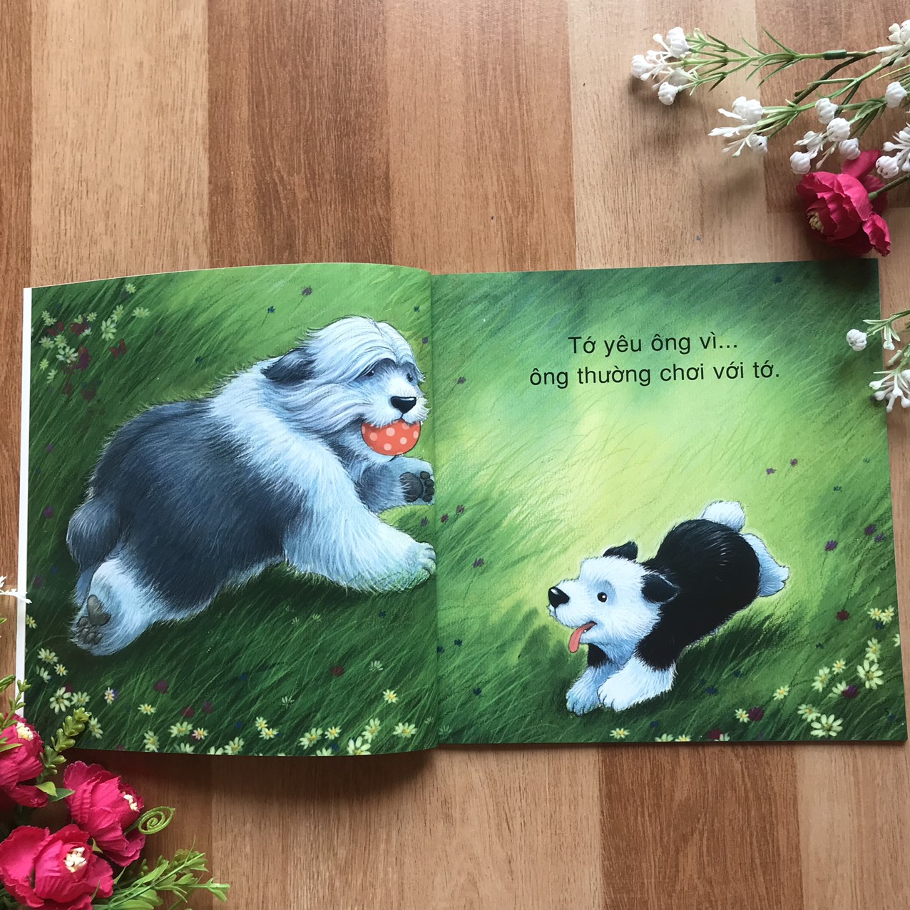 Combo Vì Sao Tớ Yêu (Trọn Bộ 4 Cuốn)