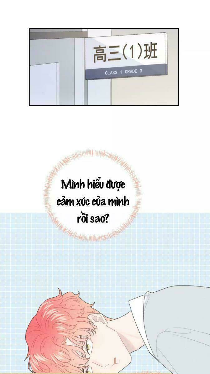 từ cái nhìn của em chapter 35 12