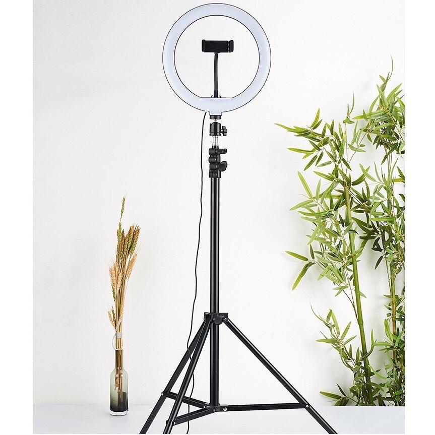 Đèn Chiếu Sáng LiveStream, Chụp Hình, Makeup Size 26cm Có Điều Khiển Kèm Kẹp Điện Thoại