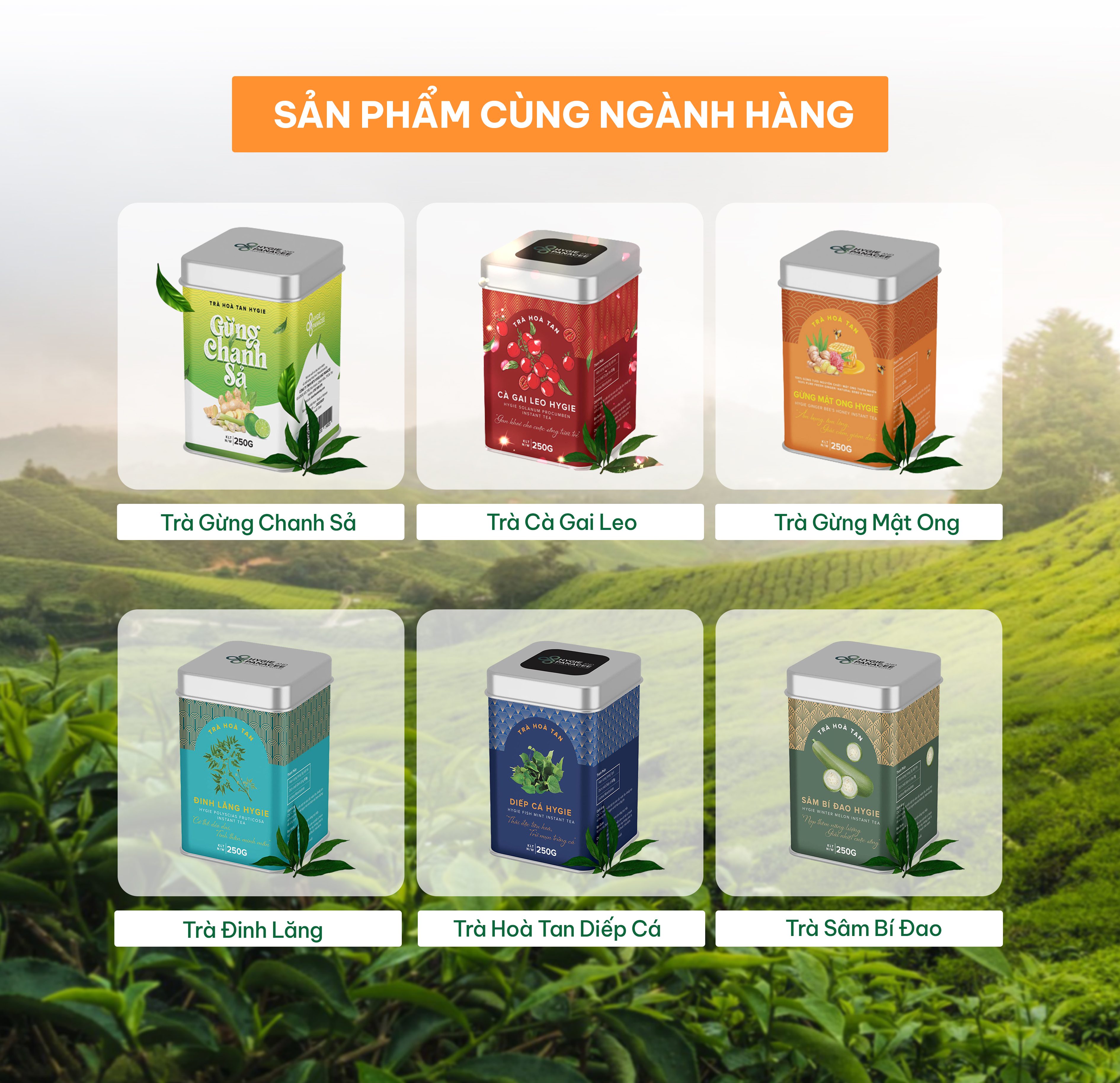 Trà Húng Chanh Trần Bì Hygie 50g/250g giúp giải cảm, tăng sức đề kháng