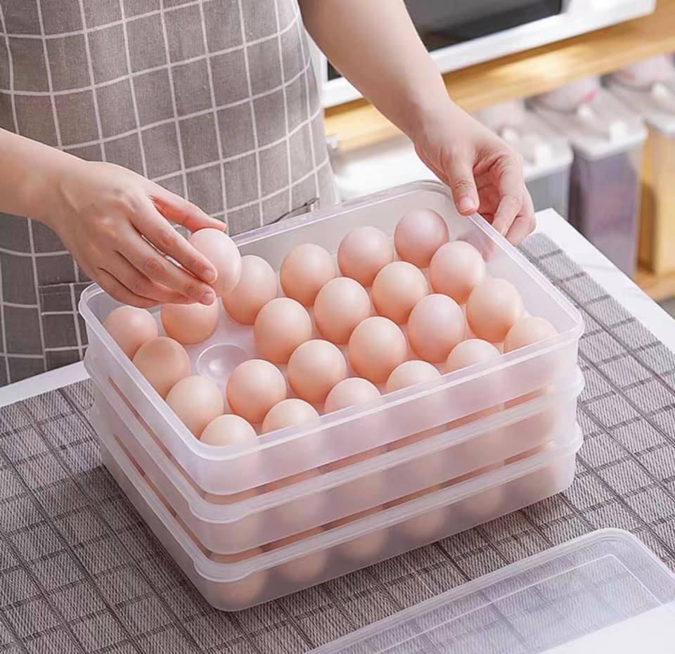 HỘP ĐỰNG TRỨNG CAO CẤP 24 QUẢ