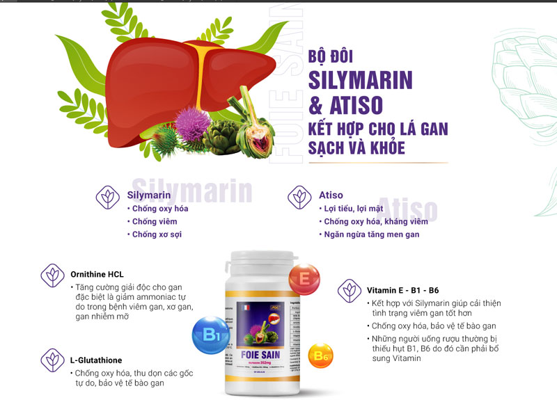 Giải độc gan Foie Sain - Hỗ trợ thải độc, hạ men gan, tăng cường chức năng gan