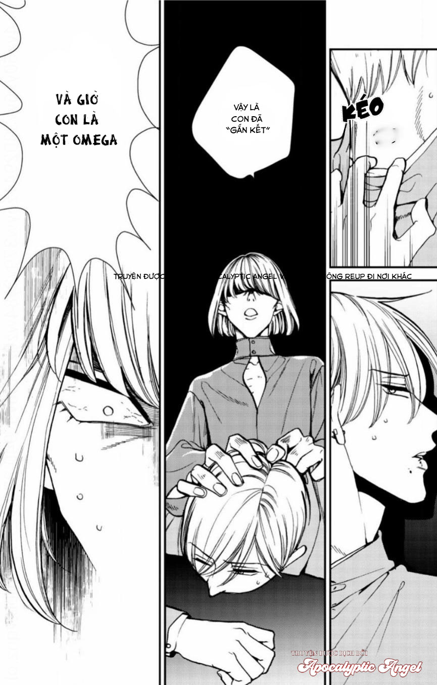 anti alpha chapter 11 8