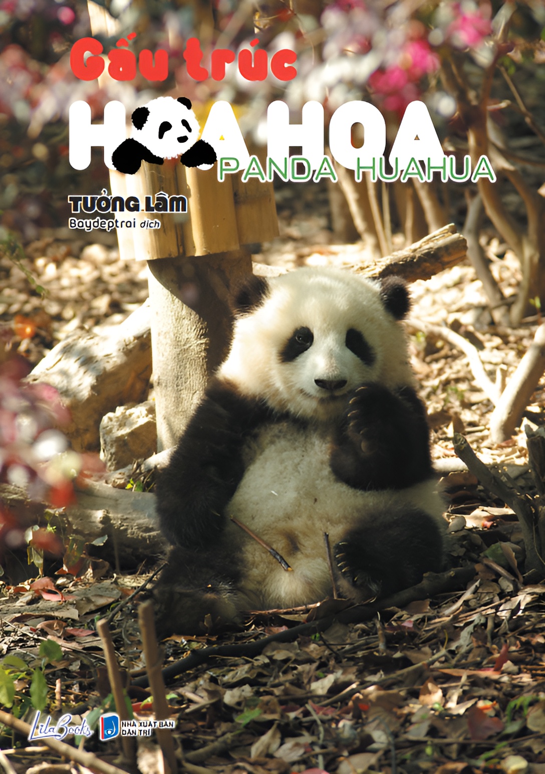 Hình ảnh [Sách Ảnh] Gấu Trúc Hoa Hoa - Panda HuaHua - Amakbooks