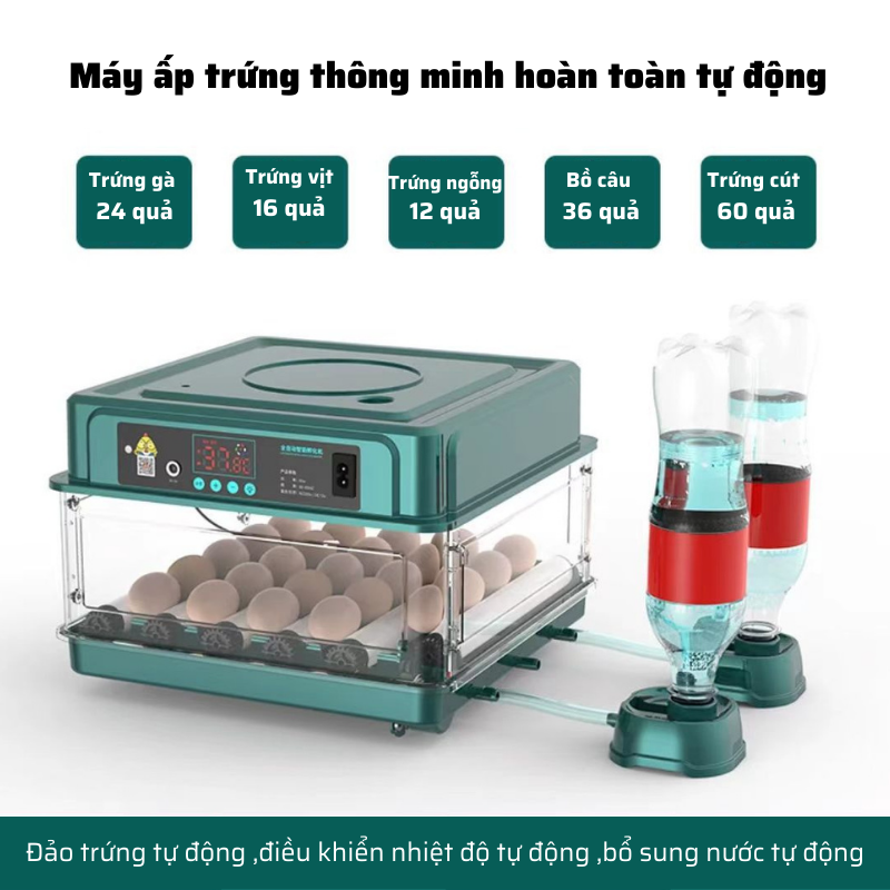 Máy ấp trứng mini thông minh Hàng chính hãng tự đảo thay nước MAT-09