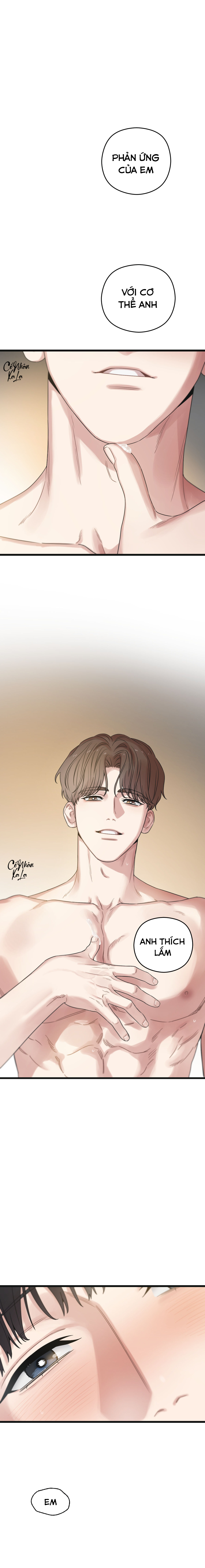 trùng phùng chapter 52 14