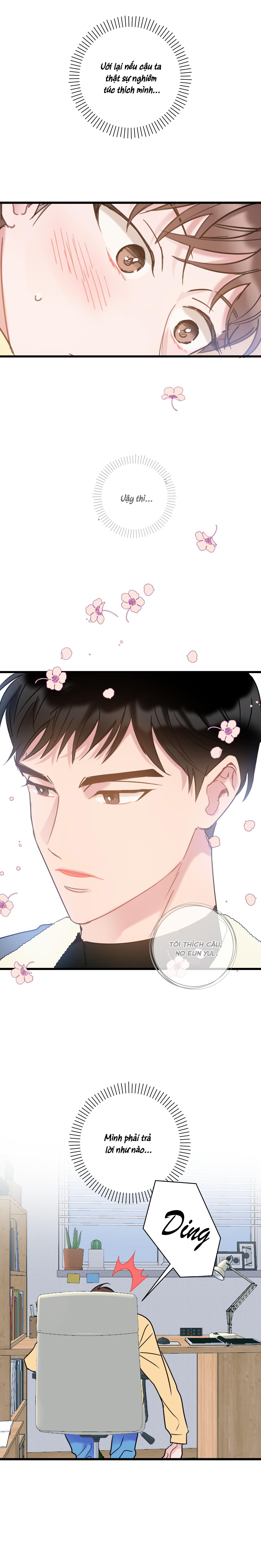 tình yêu bình dị nhất chapter 6 11