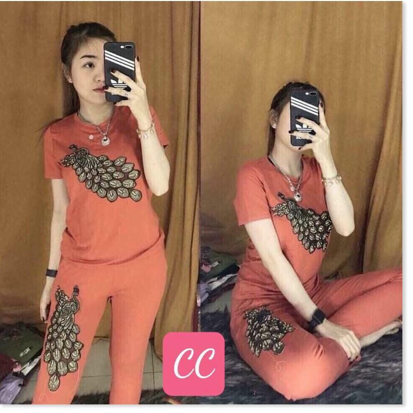 SET ĐỒ BỘ NỮ THUN