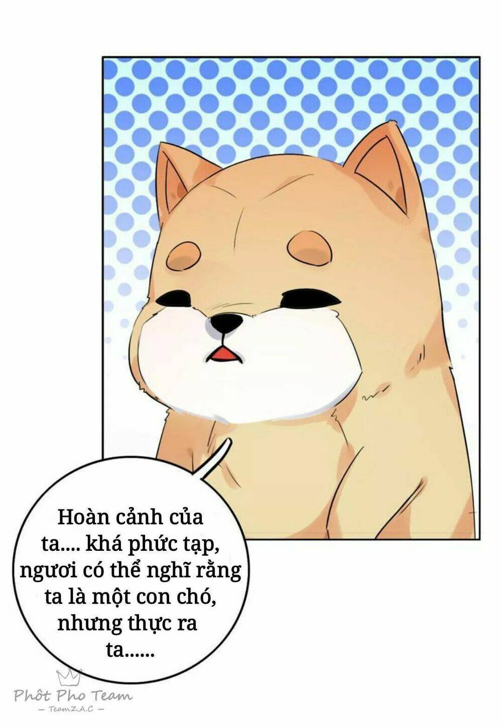 hôm nay lại cũng không thể biến thành người được chapter 3 28