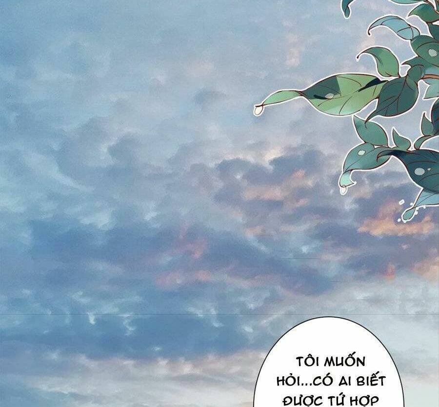 vượt rào trêu chọc chapter 176 50