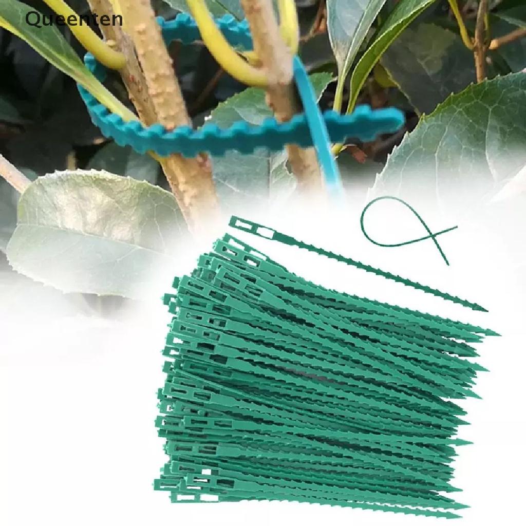 Queenten 50/100pcs Reusable Plastic Plant Support Clips clamps Plants Hanging Vine Garden  QT