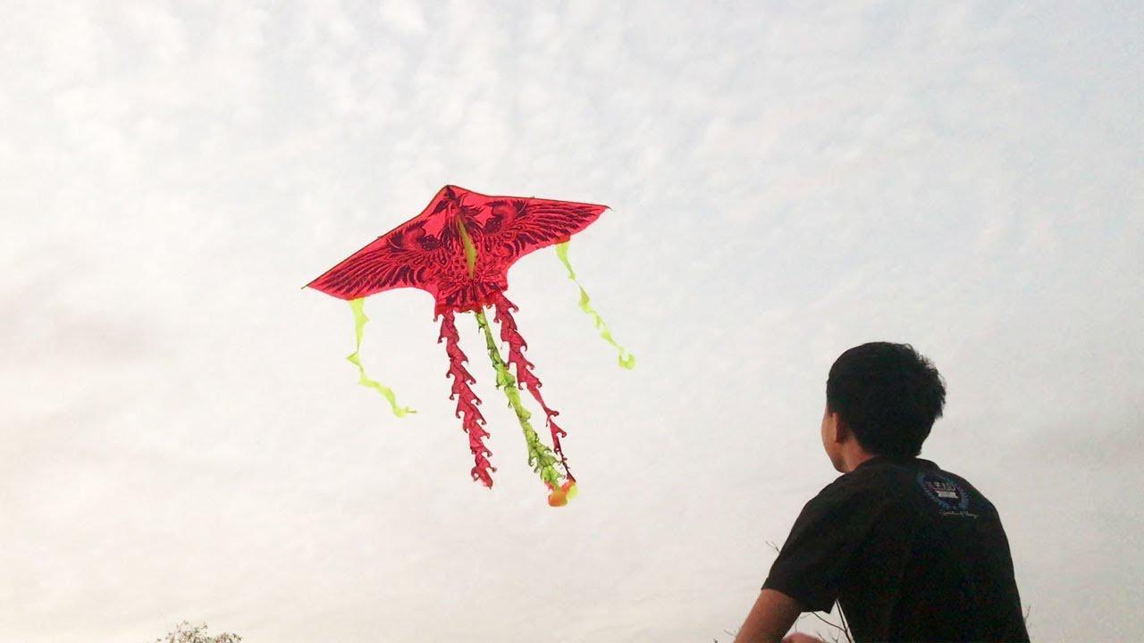 Diều Phụng Hoàng Lửa 5 Đuôi To Đại