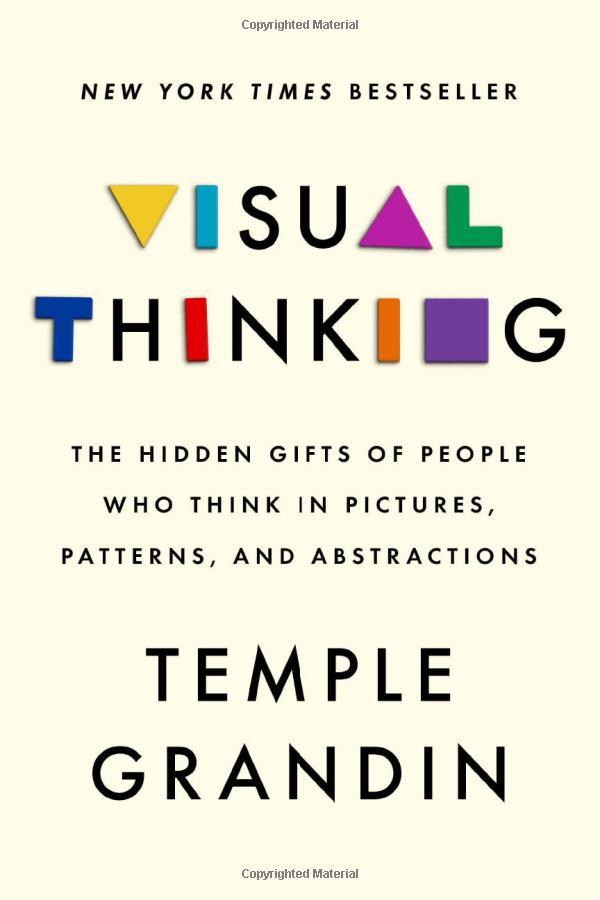 Visual Thinking: The Hidden Gifts Of People Who Think In Pictures, Patterns, And Abstractions