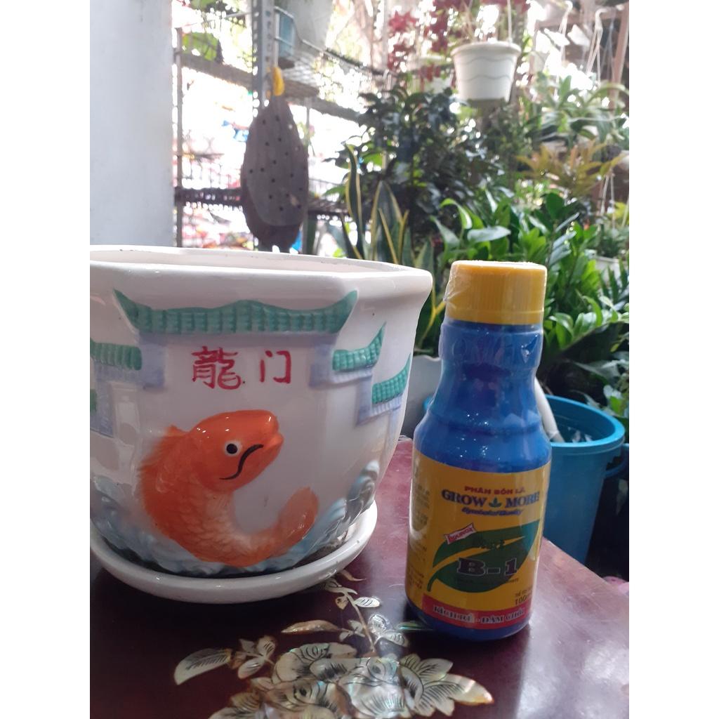 B1-kích rễ-đâm chồi, phân bón lá 35k/100ml lọ.