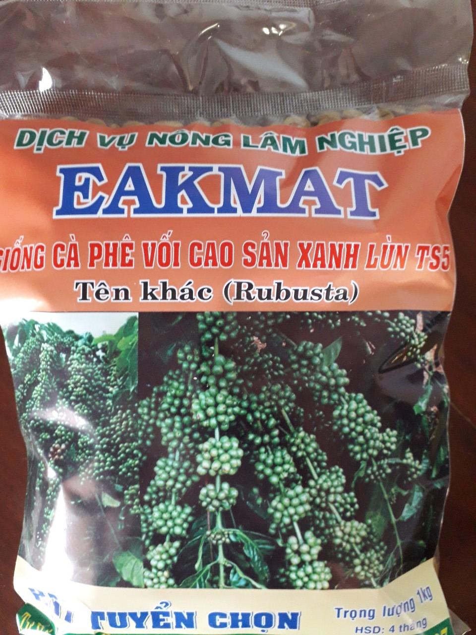 200 GRAM Hạt giống Cây Cà Phê Xanh Lùn HẠT TUYỂN CHỌN BAO NẢY MẦM