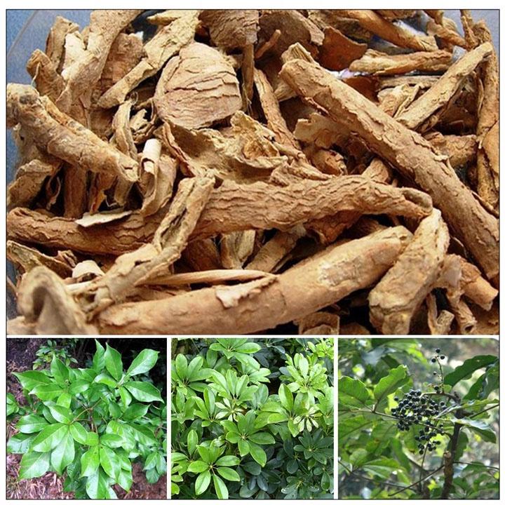 01Kg Ngũ Gia Bì Khô 981SP