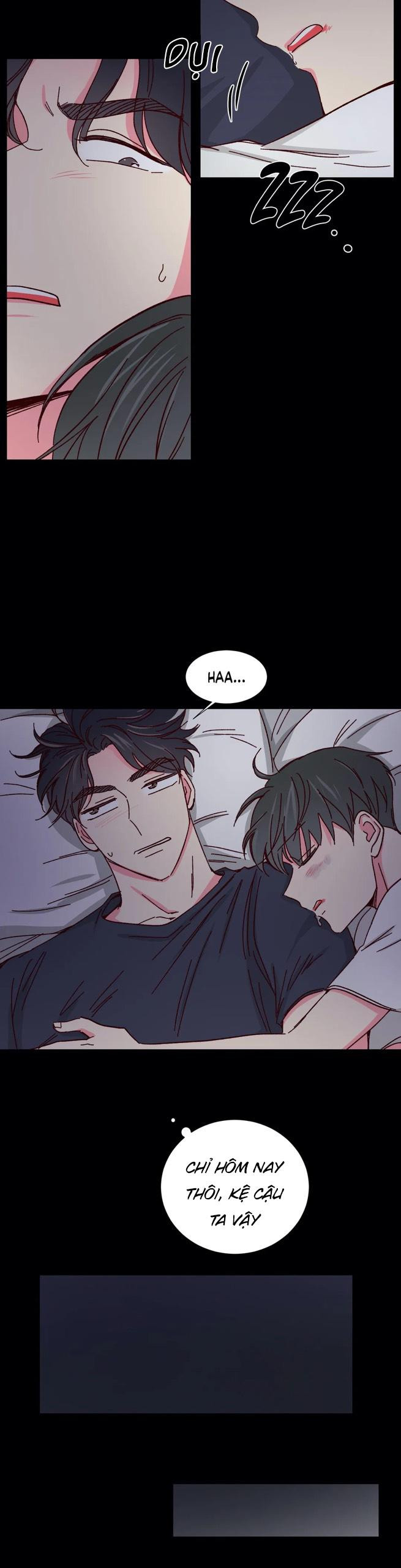 món tráng miệng của sếp tổng chapter 43 5