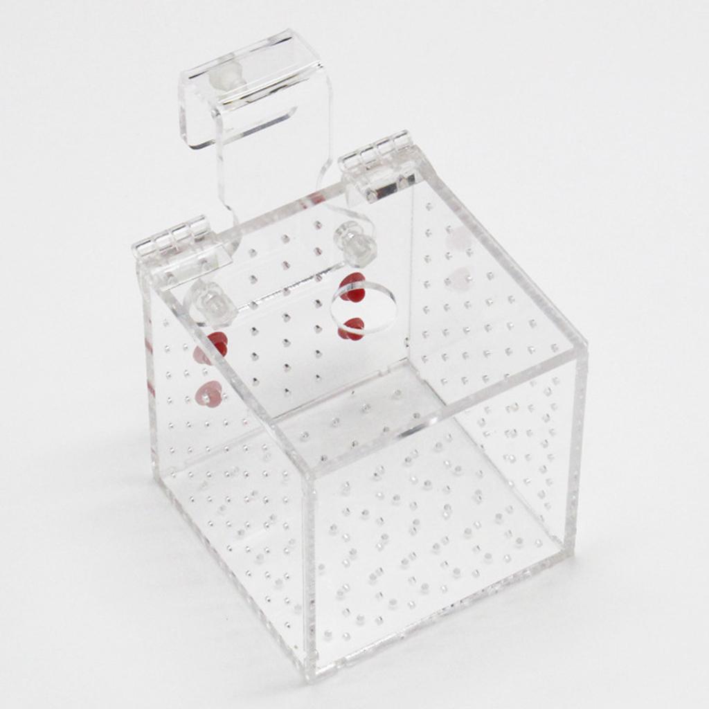 Clear Acrylic Aquarium Fish Incubator Breeding Box Incubator Isolation Box, 2 Size